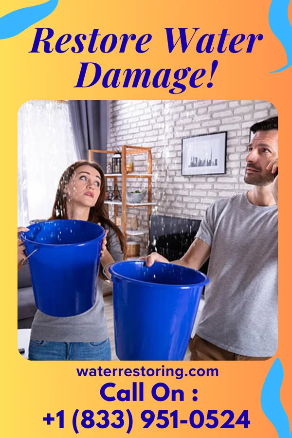 water restoration Patriot Water Removal Contractors Shiloh