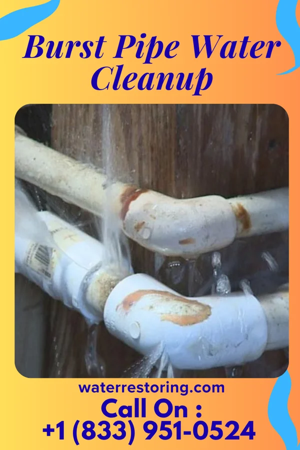 Burst Pipe Water Cleanup in Shiloh, NJ