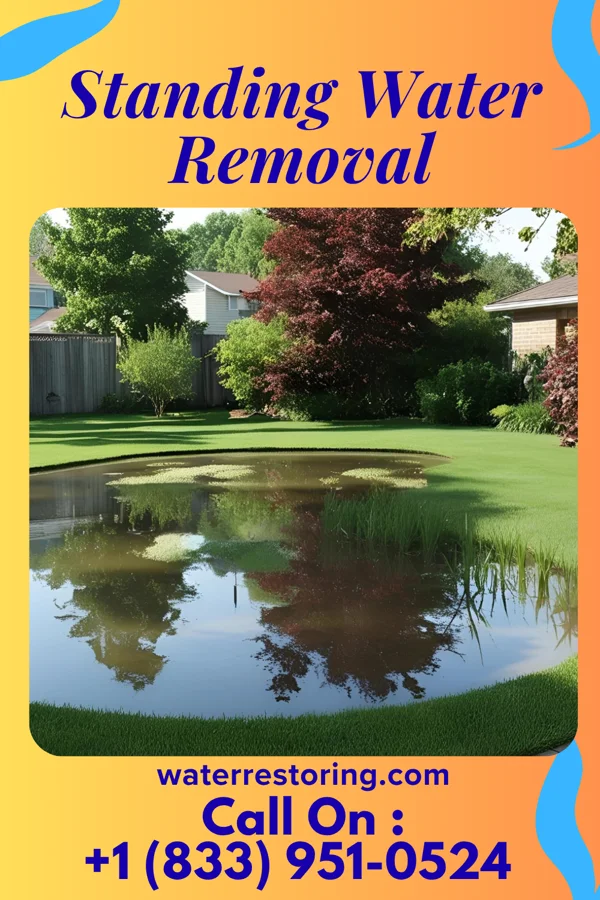 Standing Water Removal in Shiloh, NJ